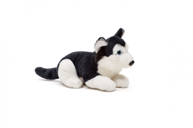 Plush Husky Toy