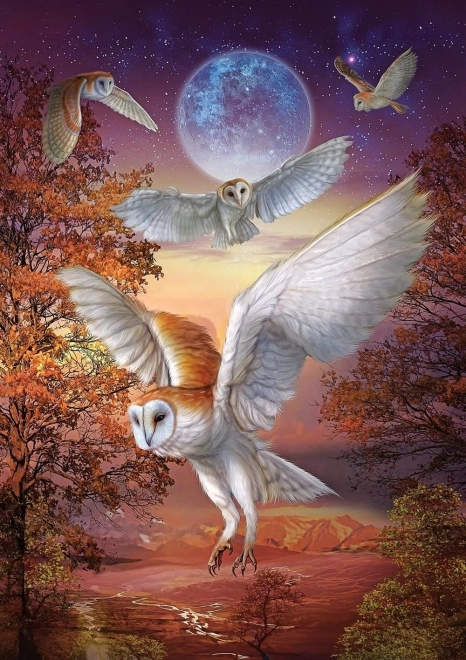 Night Owls Art Puzzle 1000 Pieces