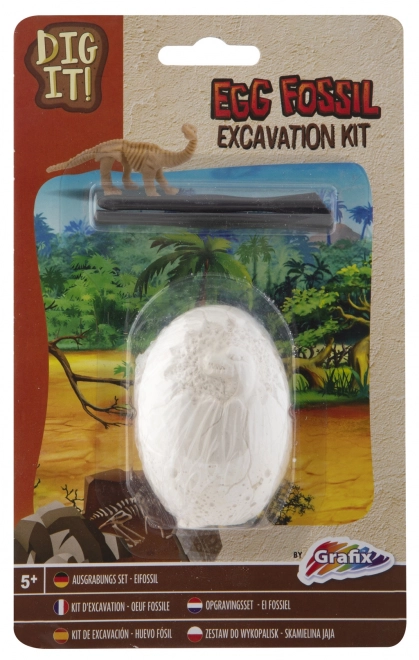 Excavation Fossils Discovery Kit