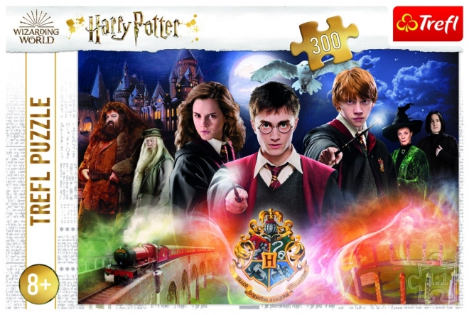 Mysterious Harry Potter 300 Piece Puzzle