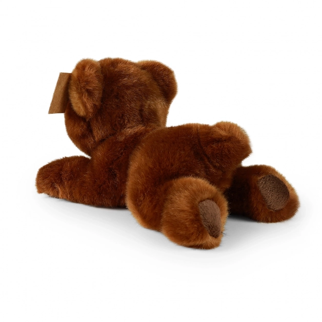 Eco-Friendly Plush Brown Bear 20 cm