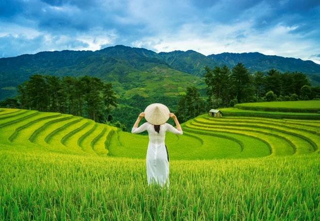 Castorland Jigsaw Puzzle - Rice Fields in Vietnam 1000 Pieces