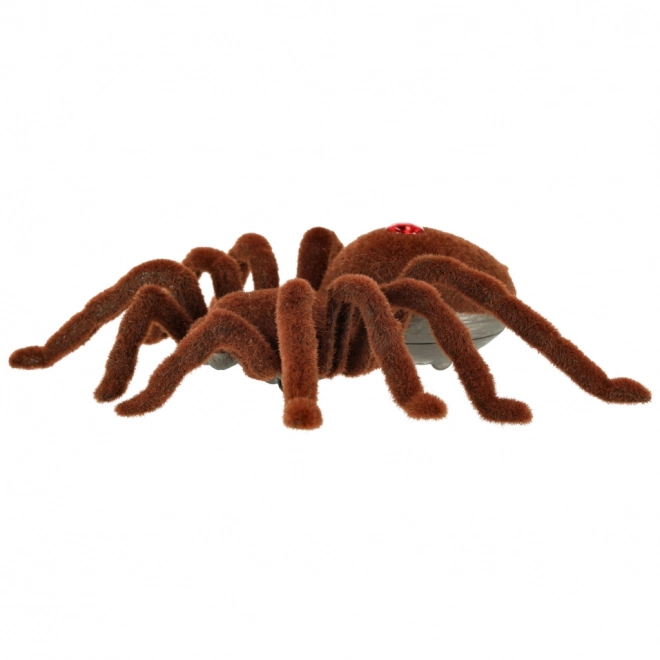 Remote Control Tarantula Spider Robot