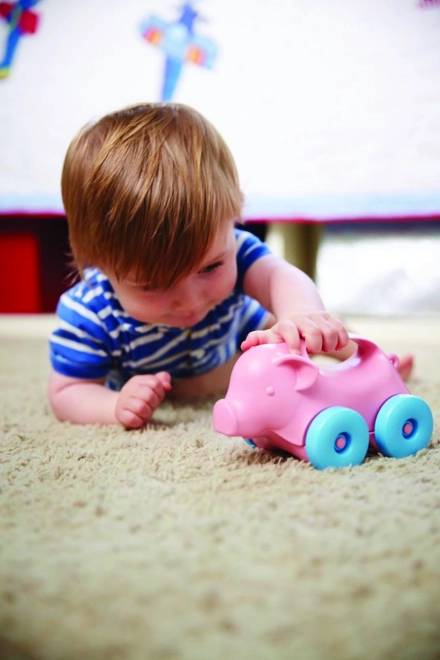 Eco-Friendly Green Toys Piglet