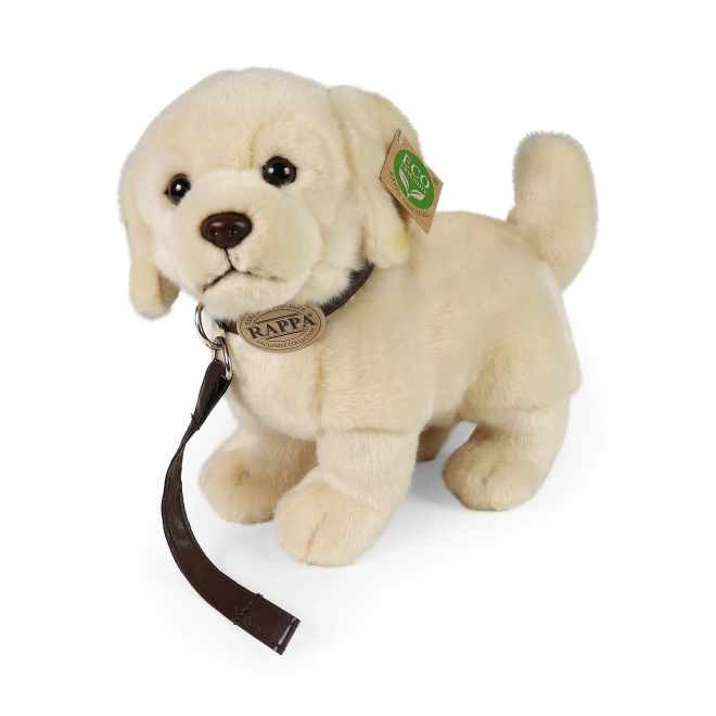 Plush Golden Retriever with Leash Eco-Friendly