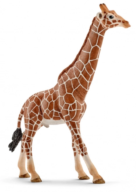 Giraffe Male Figurine by Schleich