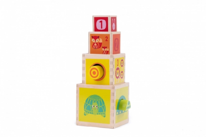 Wooden Blocks Tower Sorter