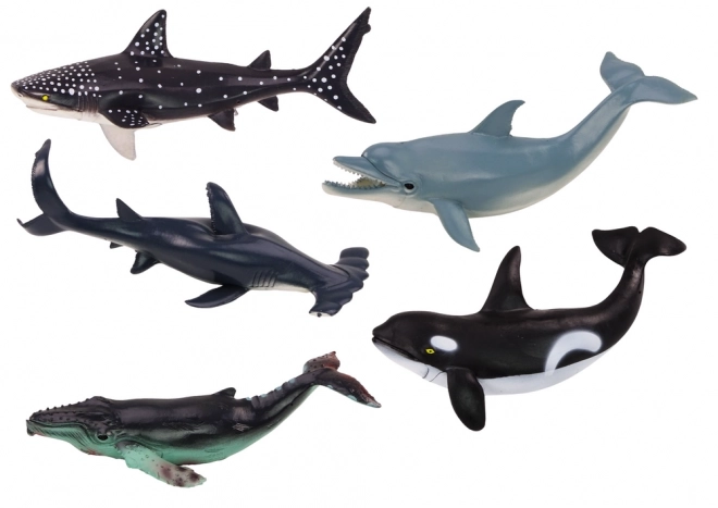 Set of Large Sea Animal Figures