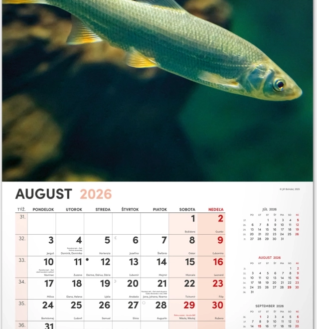 Wall Calendar Fishing 2026