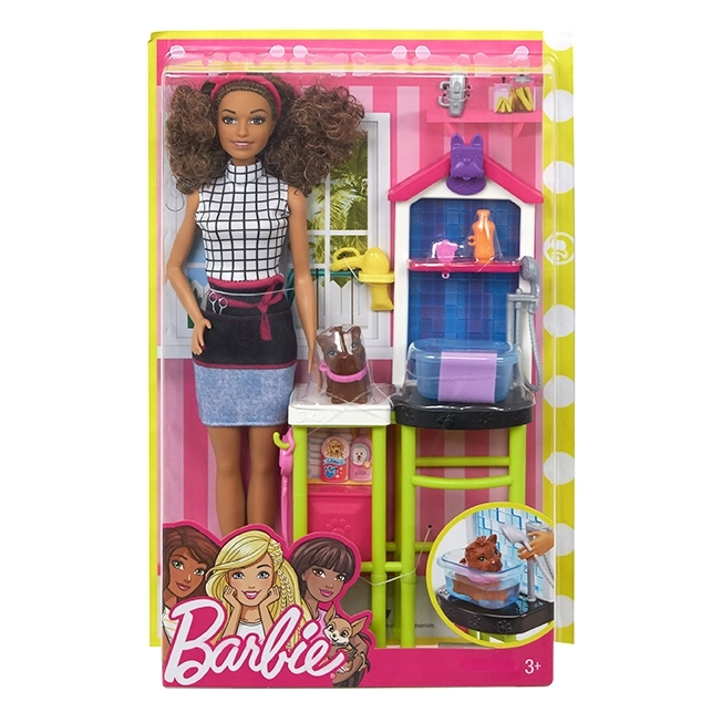 Barbie Career Playset with Doll