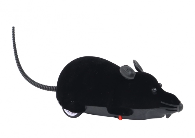 Remote Controlled Black Mouse Toy