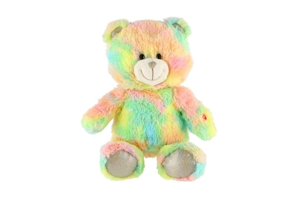 Dreamy Rainbow Bear Plush Toy with Light and Sound