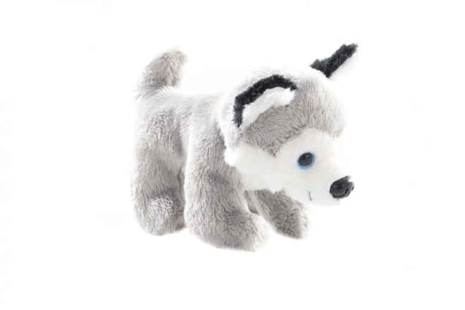 Cuddly Husky Toy