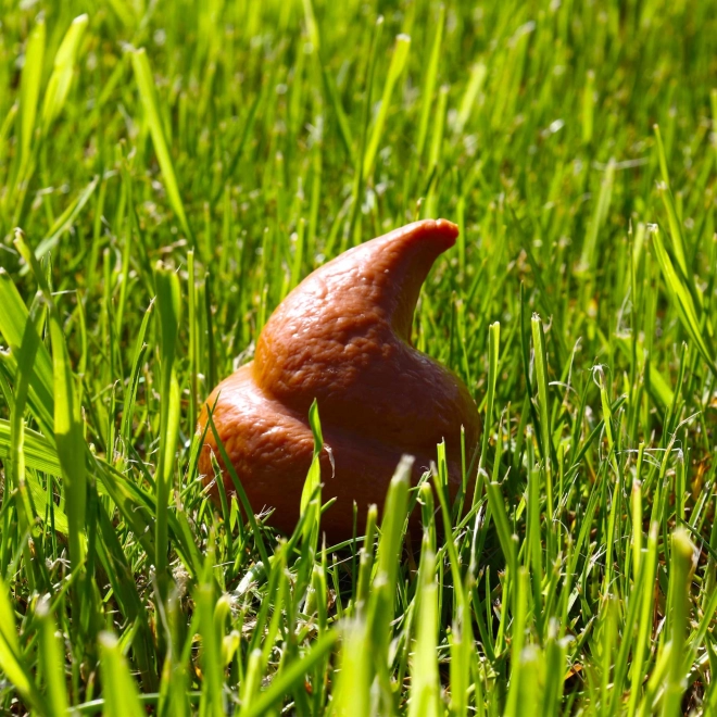 Stress Relief Poop Ball