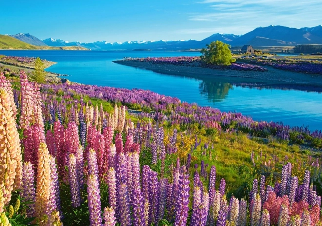 Castorland Puzzle Lake Tekapo New Zealand