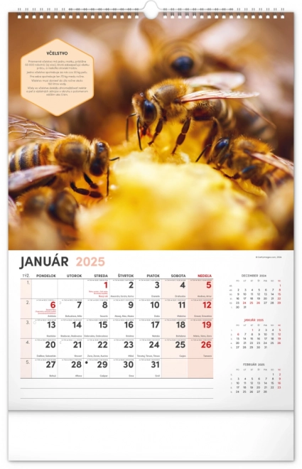 Wall Beekeeper Calendar 2025