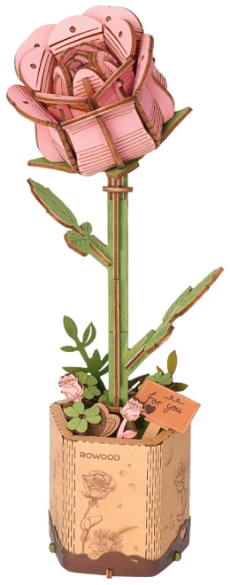 Una rosa realistica che non appassisce mai
