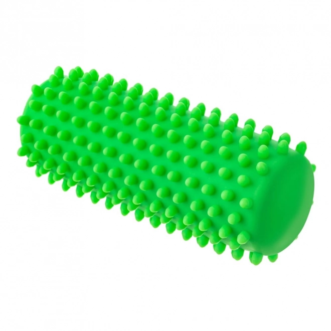 Massage and Rehabilitation Roller Green