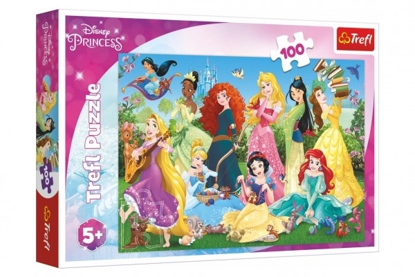 Charming Princesses 100-Piece Puzzle