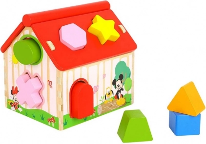 Wooden Insertion House with Disney Character Motif