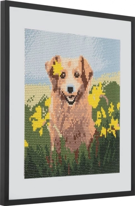 Diamond Painting Dog in Daffodils