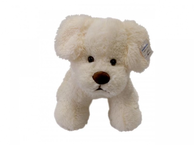 Cream Stuffed Dog 30 cm