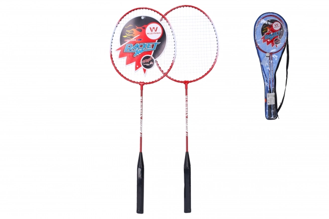 Badminton Set for Spring and Summer Fun