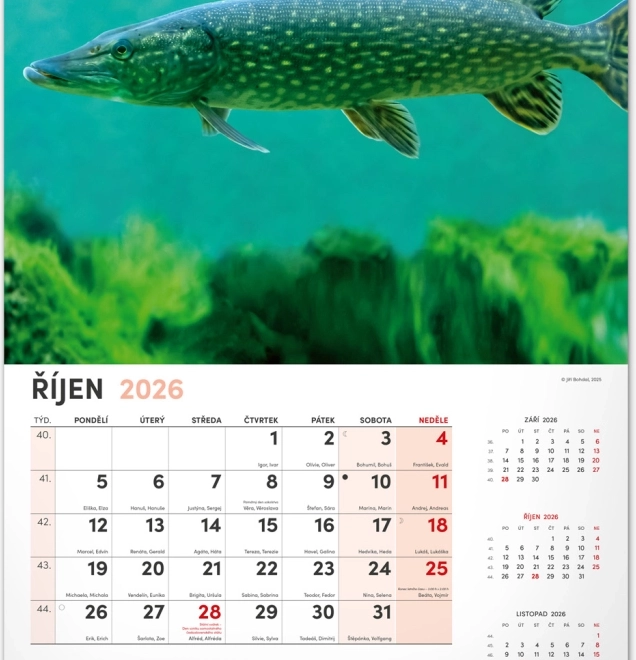 Calendrier mural de pêche 2026