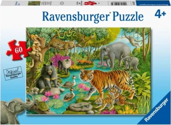 Ravensburger Animals of India Puzzle 60 Pieces