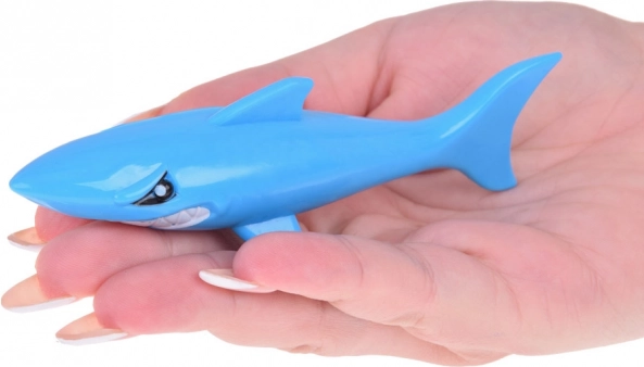 Set of 4 Colored Sharks for Children's Diving Lessons