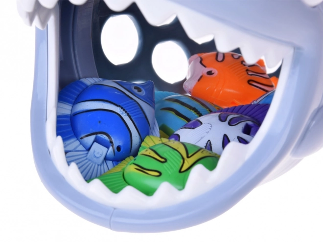 Basket for Shark Catch ZA4971