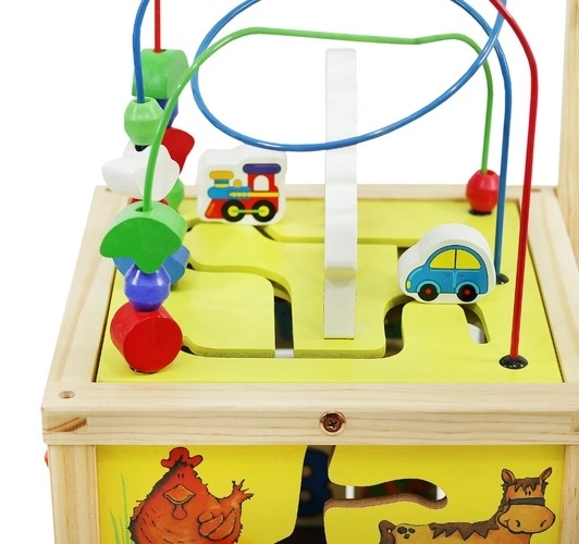 Wooden Push Walker and Educational Cube for Kids