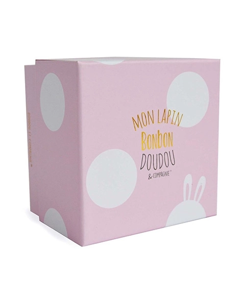 Plush Pink Rabbit Gift Set