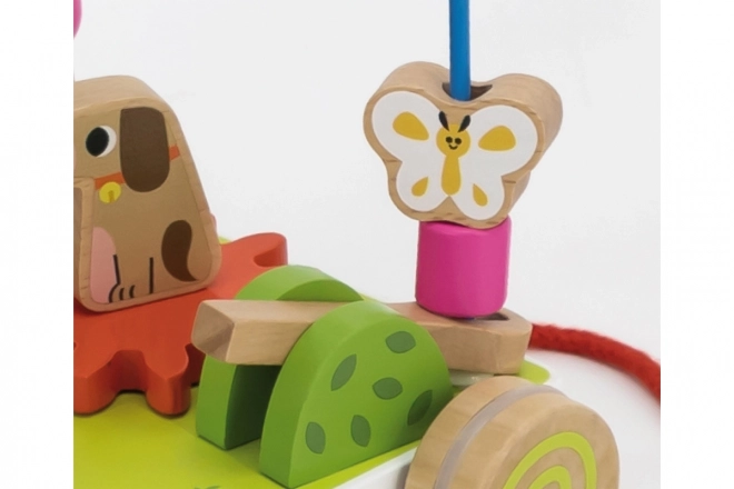 Wooden Pull-Along Maze Toy