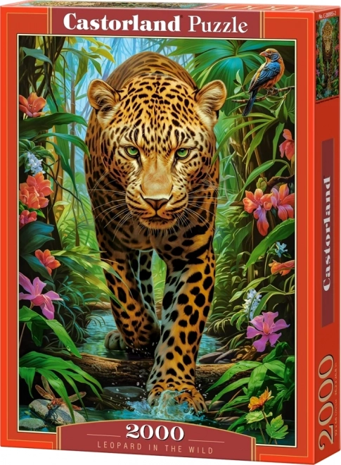 Leopard in the Wild 2000 Piece Puzzle