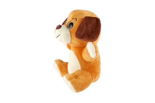 Cute Plush Animal with Big Eyes