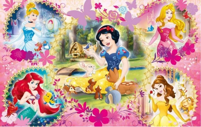 Clementoni Puzzle Disney Princesses: Friends 2x60 Pieces