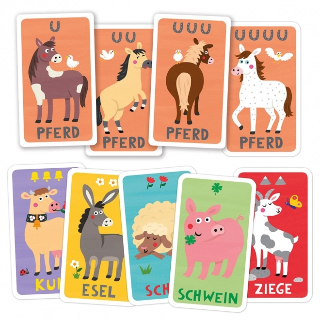 Magellan Animal Quartet Card Game