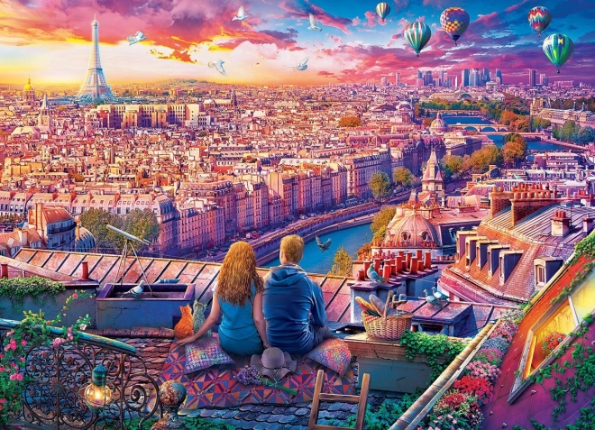 Roof of Paris Puzzle 1000 Pieces