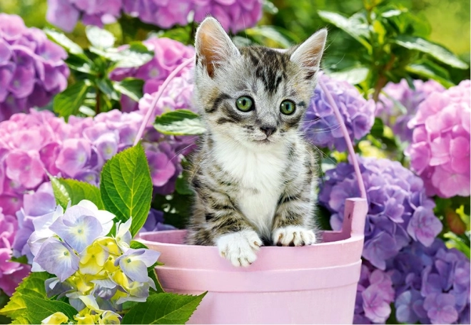 Castorland Puzzle Kitten in a Basket