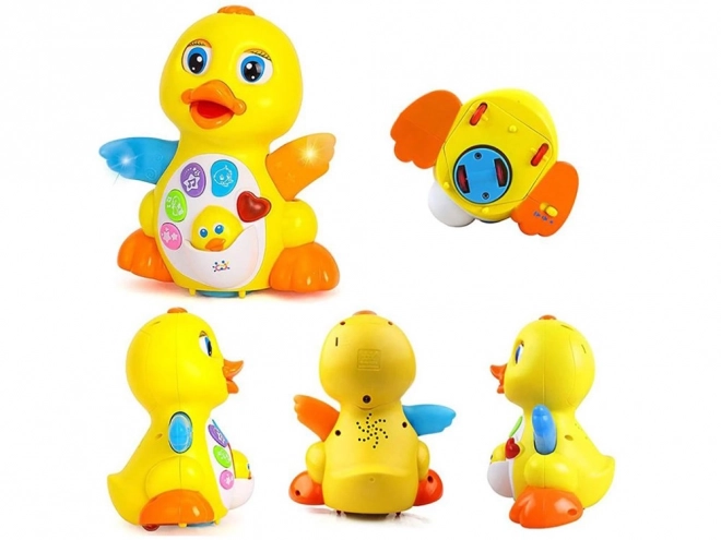 Interactive Musical Duck Toy