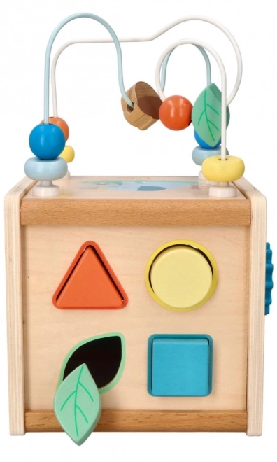 Activity Cube with Motor Loop