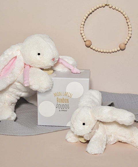 Plush Pink Rabbit Gift Set