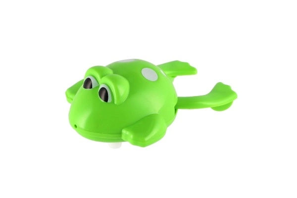 Wind-up Water Frog Toy