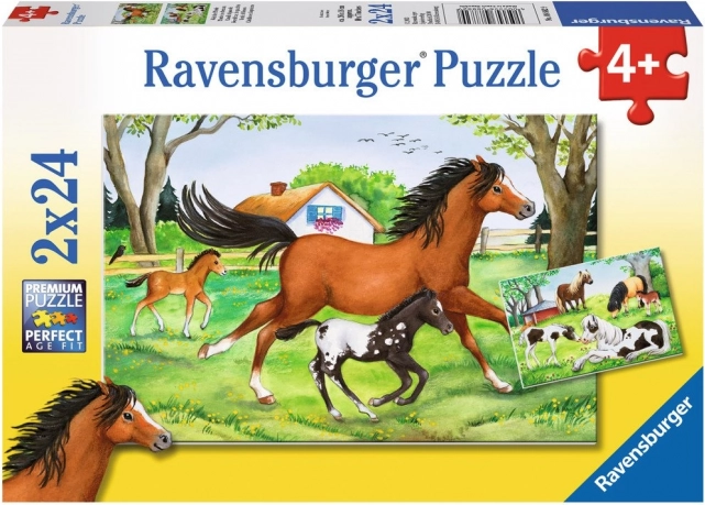 Zwei Puzzles in einem: 2×24 Teile