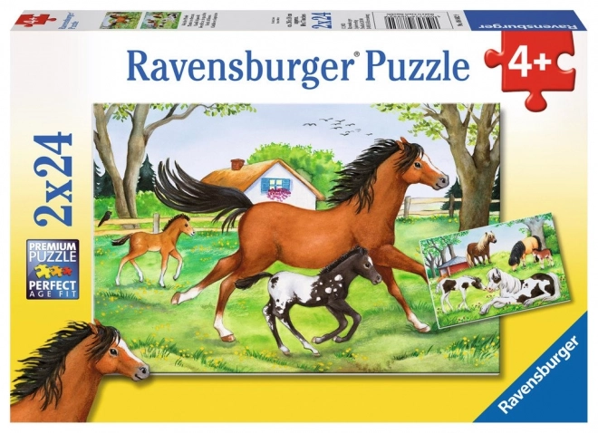 Ravensburger Horse World Puzzle Set