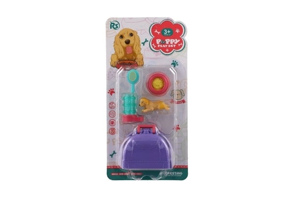 Pet Dog With Portable Plastic Box And Accessories