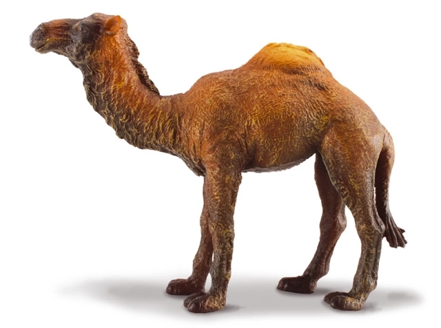 Collecta Dromedary Camel Figure