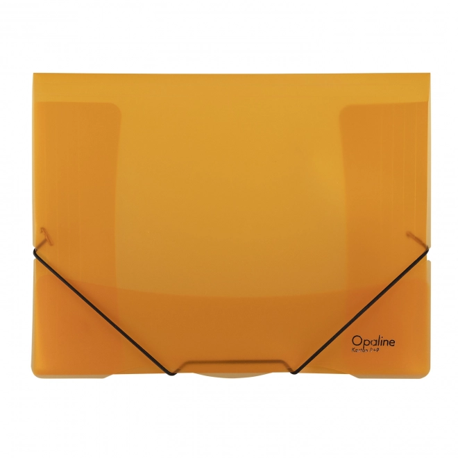 Orange Document Folder with Elastic Band