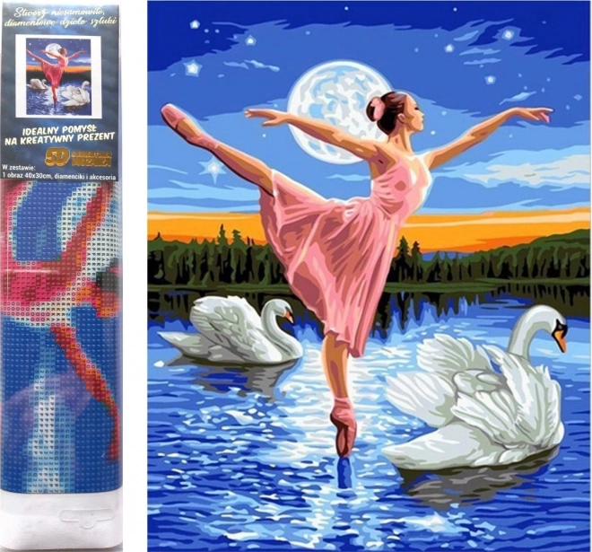 Diamond Painting Ballerina Among Swans 30x40cm